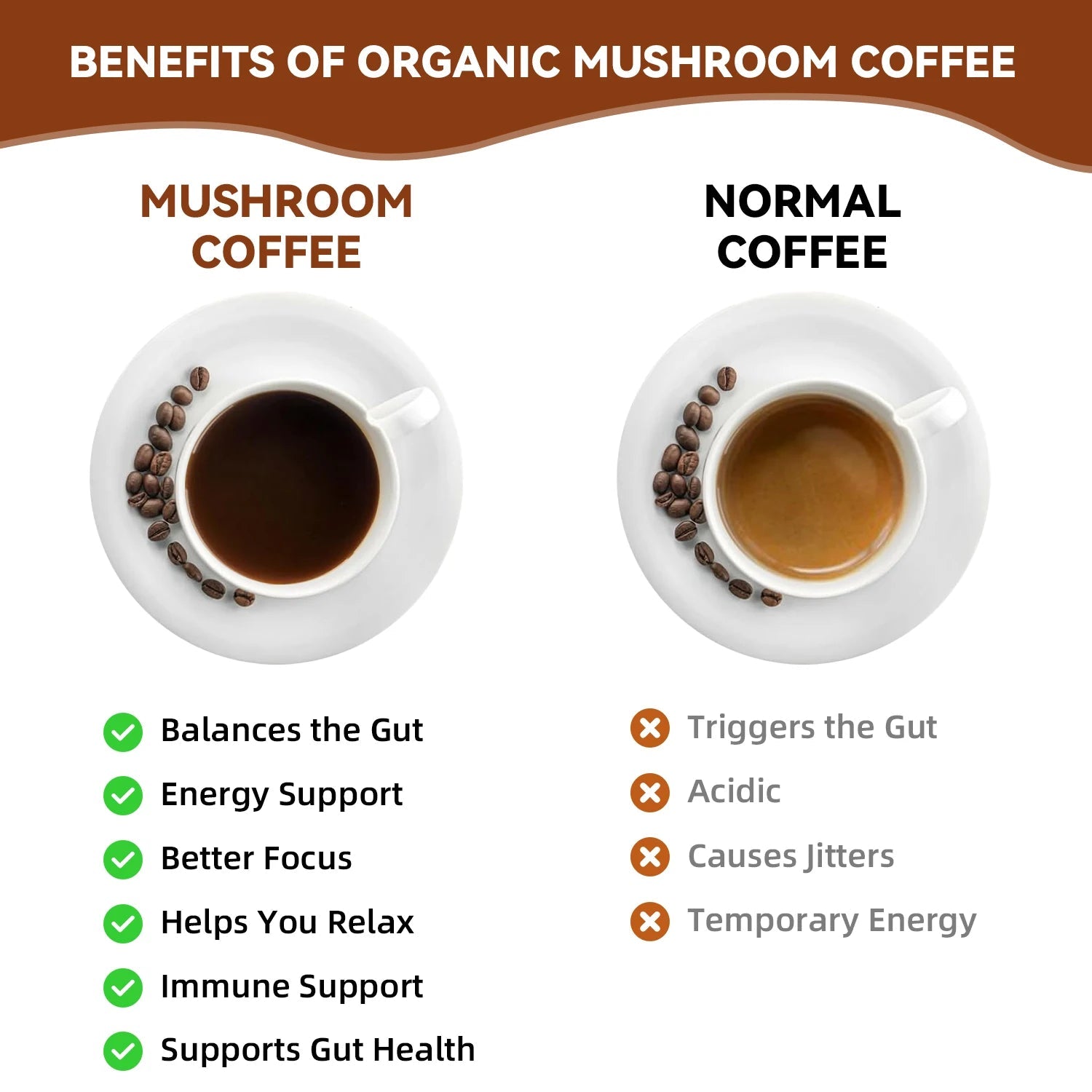 Mushroom Coffee Power Blend Daily