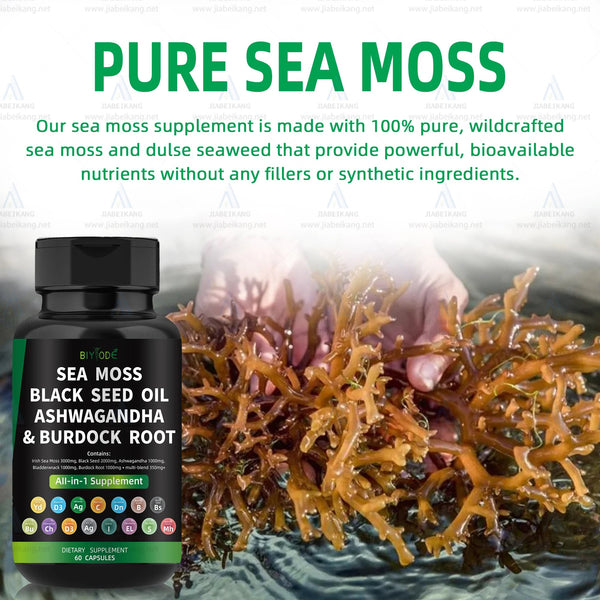Sea Moss Vitality Fusion Capsules