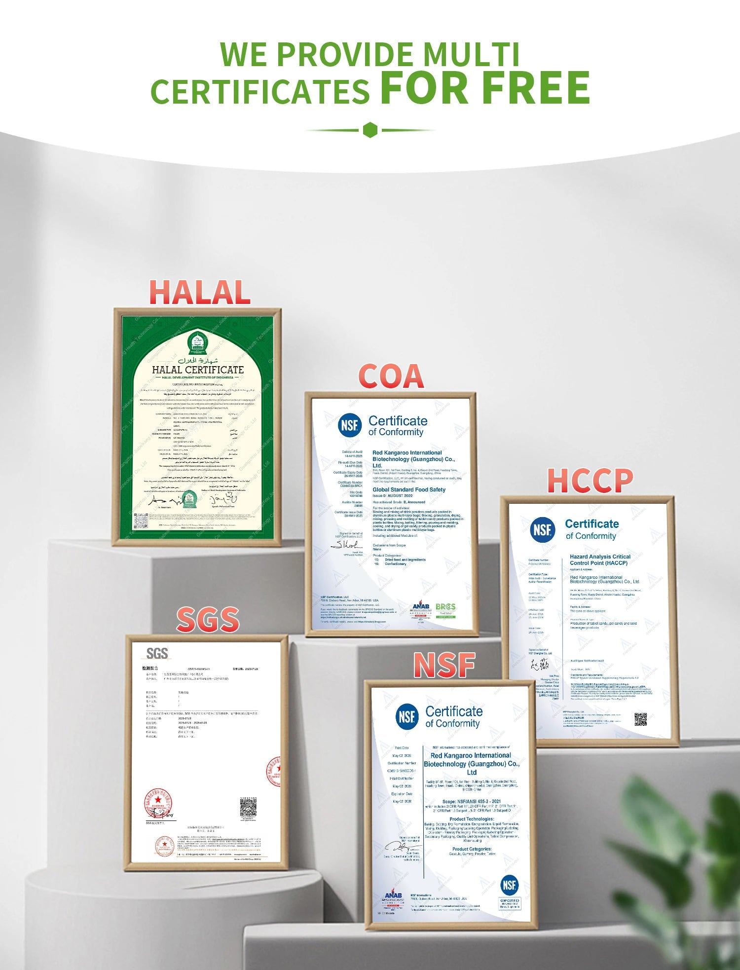 Daily Collagen Boost Gummies Pro